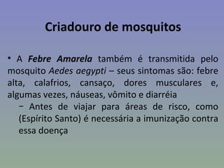 Criadouro de mosquitos

• A Febre Amarela também é transmitida pelo
mosquito Aedes aegypti – seus sintomas são: febre
alta, calafrios, cansaço, dores musculares e,
algumas vezes, náuseas, vômito e diarréia
   − Antes de viajar para áreas de risco, como
   (Espírito Santo) é necessária a imunização contra
   essa doença
 