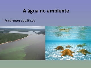A água no ambiente
• Ambientes aquáticos
 