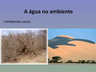 A água no ambiente
• Ambientes secos
 