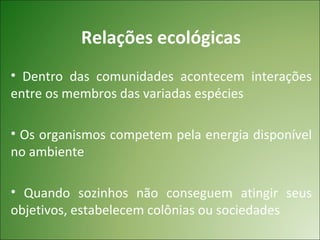 Relações ecológicas
• Dentro das comunidades acontecem interações
entre os membros das variadas espécies

• Os organismos competem pela energia disponível
no ambiente

• Quando sozinhos não conseguem atingir seus
objetivos, estabelecem colônias ou sociedades
 
