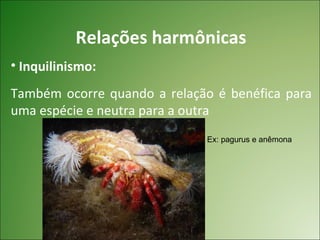 Relações harmônicas
• Inquilinismo:
Também ocorre quando a relação é benéfica para
uma espécie e neutra para a outra
                              Ex: pagurus e anêmona
 