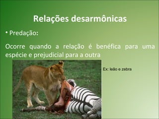 Relações desarmônicas
• Predação:
Ocorre quando a relação é benéfica para uma
espécie e prejudicial para a outra
                            Ex: leão e zebra
 
