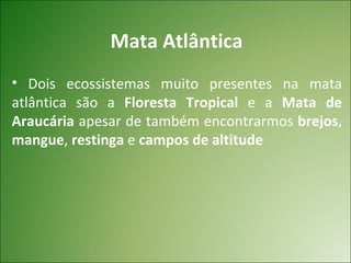 Mata Atlântica
• Dois ecossistemas muito presentes na mata
atlântica são a Floresta Tropical e a Mata de
Araucária apesar de também encontrarmos brejos,
mangue, restinga e campos de altitude
 