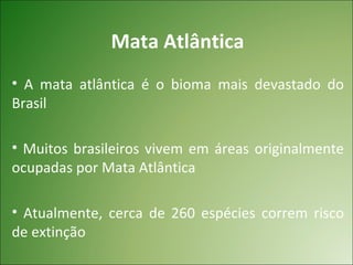 Mata Atlântica
• A mata atlântica é o bioma mais devastado do
Brasil

• Muitos brasileiros vivem em áreas originalmente
ocupadas por Mata Atlântica

• Atualmente, cerca de 260 espécies correm risco
de extinção
 