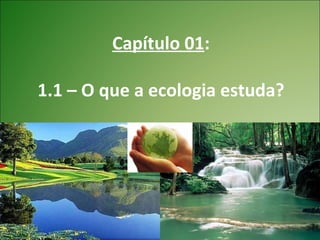Capítulo 01:

1.1 – O que a ecologia estuda?
 