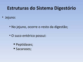 Estruturas do Sistema Digestório
• Jejuno:

    • No jejuno, ocorre o resto da digestão;

    • O suco entérico possui:

        Peptidases;
        Sacarases;
 