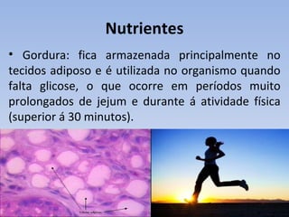 Nutrientes
• Gordura: fica armazenada principalmente no
tecidos adiposo e é utilizada no organismo quando
falta glicose, o que ocorre em períodos muito
prolongados de jejum e durante á atividade física
(superior á 30 minutos).
 