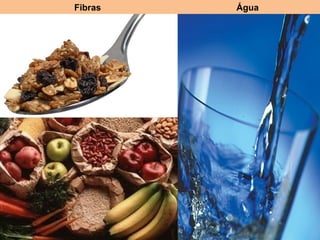 Fibras   Água
 