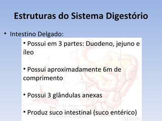 Estruturas do Sistema Digestório
• Intestino Delgado:
       • Possui em 3 partes: Duodeno, jejuno e
       íleo

      • Possui aproximadamente 6m de
      comprimento

      • Possui 3 glândulas anexas

      • Produz suco intestinal (suco entérico)
 