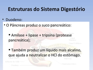 Estruturas do Sistema Digestório
• Duodeno:
 • O Pâncreas produz o suco pancreático:

    Amilase + lipase + tripsina (protease
   pancreática);

    Também produz um líquido mais alcalino,
   que ajuda a neutralizar o HCl do estômago.
 