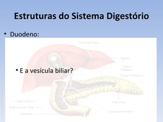 Estruturas do Sistema Digestório
• Duodeno:




   • E a vesícula biliar?
 