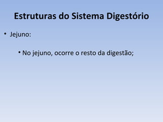 Estruturas do Sistema Digestório
• Jejuno:

    • No jejuno, ocorre o resto da digestão;
 