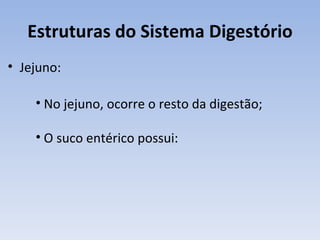 Estruturas do Sistema Digestório
• Jejuno:

    • No jejuno, ocorre o resto da digestão;

    • O suco entérico possui:
 
