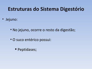 Estruturas do Sistema Digestório
• Jejuno:

    • No jejuno, ocorre o resto da digestão;

    • O suco entérico possui:

        Peptidases;
 