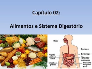 Capítulo 02:

Alimentos e Sistema Digestório
 
