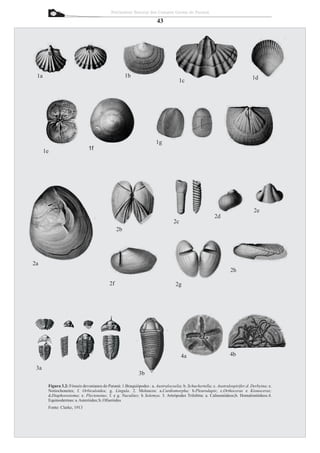 Patrimônio Natural dos Campos Gerais do Paraná

                                                                      43




 1a                                                 1b                                                                        1d
                                                                                   1c




                                                                      1g
      1e                      1f




                                                                                                                               2e
                                                                                                        2d
                                                                                2c
                                               2b




2a
                                                                                                                 2h

                                          2f                                     2g




                                                                                     4a                          4b

 3a
                                                            3b

       Figura 3.2: Fósseis devonianos do Paraná: 1.Braquiópodes : a. Australocoelia; b. Schuchertella; c. Australospirifer;d. Derbyina; e.
       Notiochonetes; f. Orbiculoidea; g. Lingula. 2. Moluscos: a.Cardiomorpha; b.Pleurodapis; c.Orthoceras e Kionoceras;
       d.Diaphorostoma; e. Plectonotus; f. e g. Nuculites; h Solemya. 3. Artrópodes Trilobita: a. Calmoniideos;b. Homalonitídeos.4.
       Equinodermas: a.Asteróides; b. Ofiuróides
       Fonte: Clarke, 1913
 
