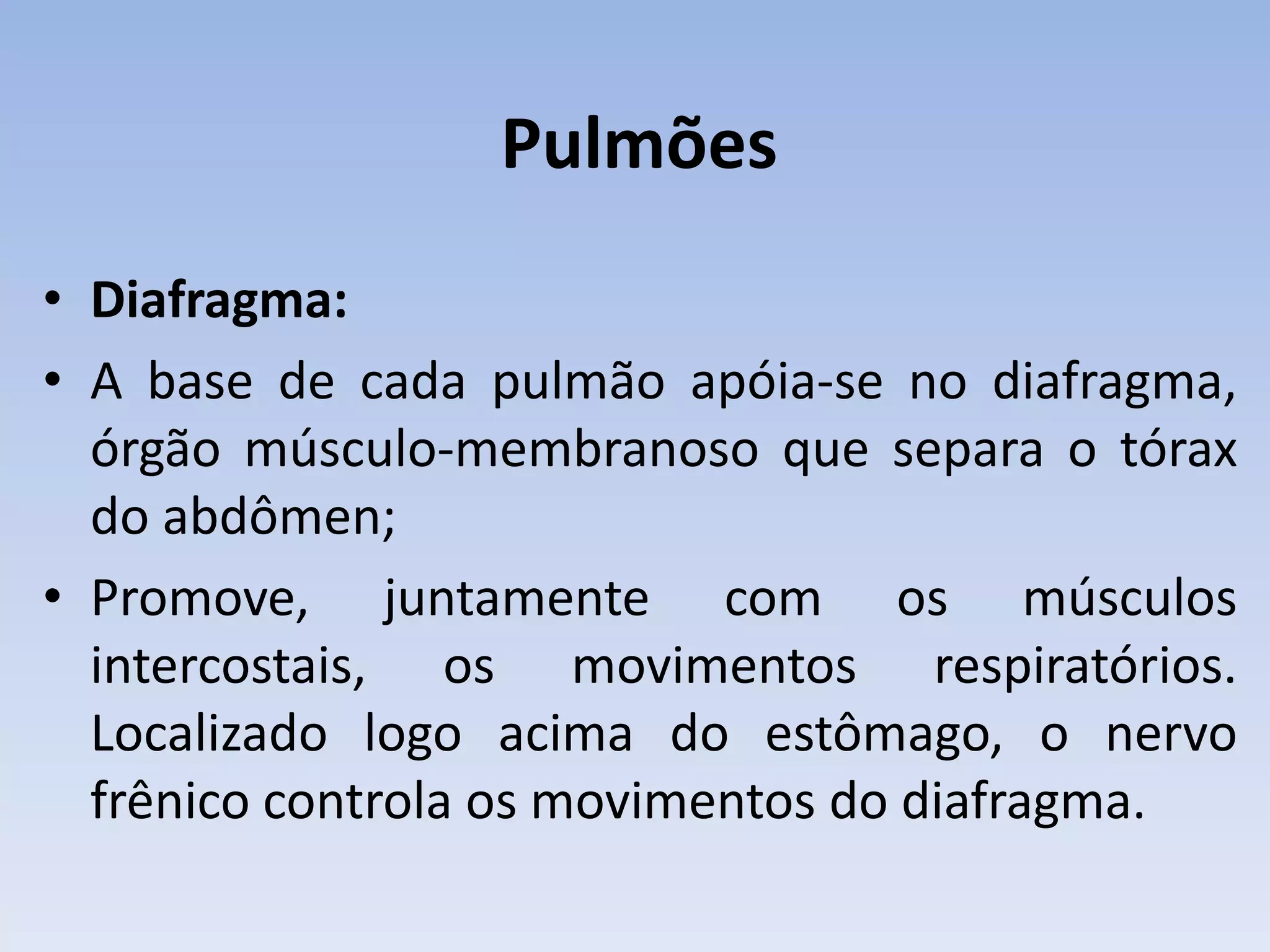 Pulmões
• Diafragma:
• A base de cada pulmão apóia-se no diafragma,
  órgão músculo-membranoso que separa o tórax
  do abdômen;
• Promove, juntamente com os músculos
  intercostais, os movimentos respiratórios.
  Localizado logo acima do estômago, o nervo
  frênico controla os movimentos do diafragma.
 