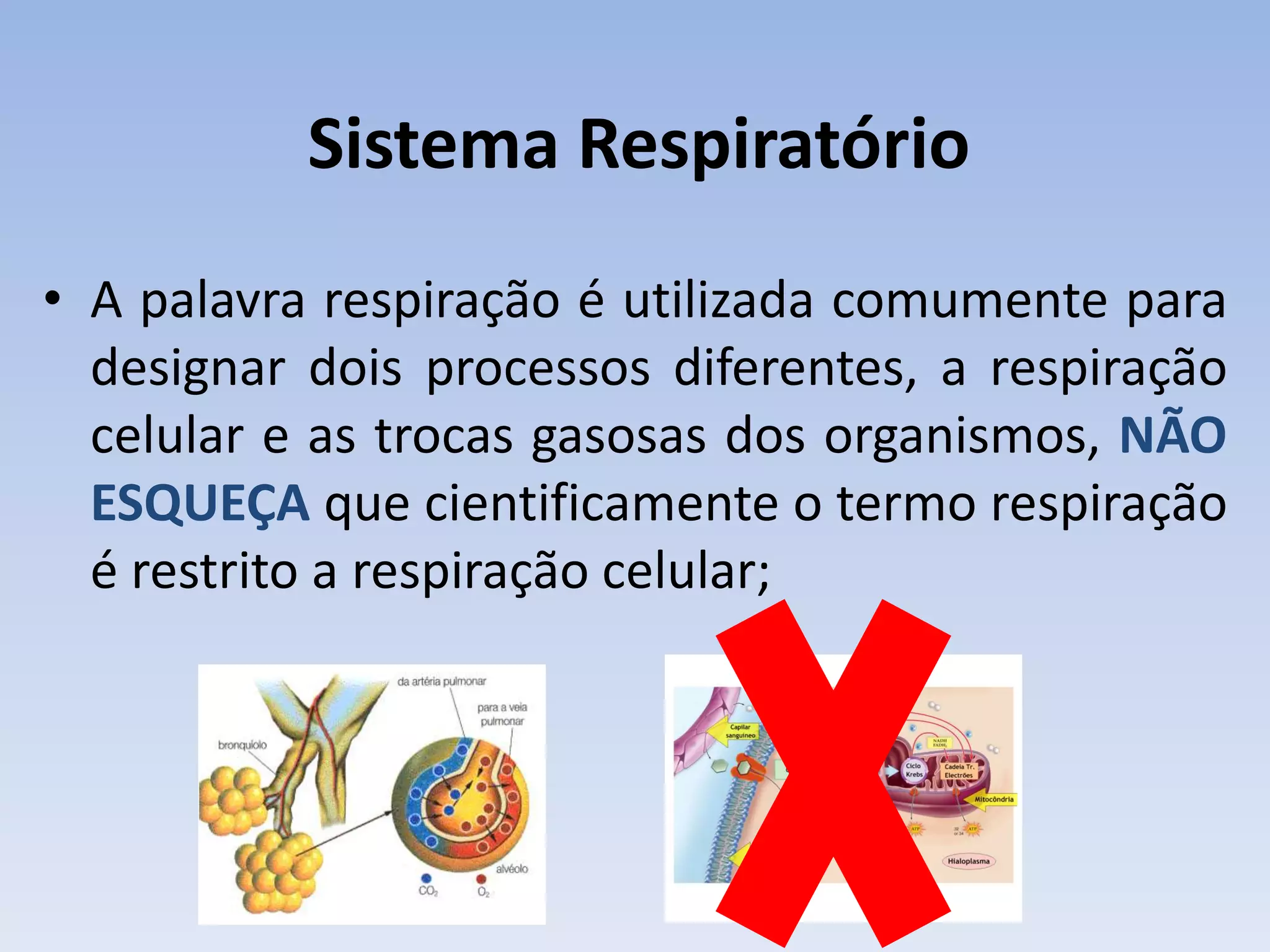 Sistema Respiratório
• A palavra respiração é utilizada comumente para
  designar dois processos diferentes, a respiração
  celular e as trocas gasosas dos organismos, NÃO
  ESQUEÇA que cientificamente o termo respiração
  é restrito a respiração celular;
 