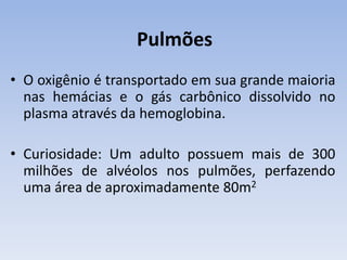 Pulmões
• O oxigênio é transportado em sua grande maioria
  nas hemácias e o gás carbônico dissolvido no
  plasma através da hemoglobina.

• Curiosidade: Um adulto possuem mais de 300
  milhões de alvéolos nos pulmões, perfazendo
  uma área de aproximadamente 80m2
 