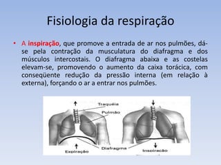 Fisiologia da respiração
• A inspiração, que promove a entrada de ar nos pulmões, dá-
  se pela contração da musculatura do diafragma e dos
  músculos intercostais. O diafragma abaixa e as costelas
  elevam-se, promovendo o aumento da caixa torácica, com
  conseqüente redução da pressão interna (em relação à
  externa), forçando o ar a entrar nos pulmões.
 
