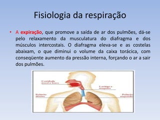Fisiologia da respiração
• A expiração, que promove a saída de ar dos pulmões, dá-se
  pelo relaxamento da musculatura do diafragma e dos
  músculos intercostais. O diafragma eleva-se e as costelas
  abaixam, o que diminui o volume da caixa torácica, com
  conseqüente aumento da pressão interna, forçando o ar a sair
  dos pulmões.
 