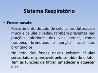 Sistema Respiratório
• Fossas nasais:
   - Revestimento dotado de células produtoras de
     muco e células ciliadas, também presentes nas
     porções inferiores das vias aéreas, como
     traquéia, brônquios e porção inicial dos
     bronquíolos;
   - No teto das fossas nasais existem células
     sensoriais, responsáveis pelo sentido do olfato.
     Têm as funções de filtrar, umedecer e aquecer
     o ar.
 