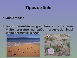 Tipos de Solo

• Solo Arenoso

• Possui consistência granulosa como a areia.
  Muito presente na região nordeste do Brasil,
  sendo permeável à água.
 