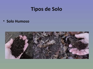 Tipos de Solo

• Solo Humoso
 