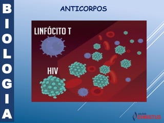 B
I
O
L
O
G
I
A
ANTICORPOS
 