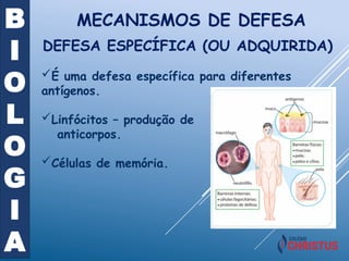 B
I
O
L
O
G
I
A
MECANISMOS DE DEFESA
DEFESA ESPECÍFICA (OU ADQUIRIDA)
É uma defesa específica para diferentes
antígenos.
Linfócitos – produção de
anticorpos.
Células de memória.
 