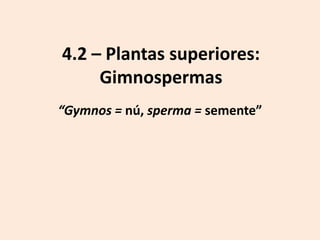 4.2 – Plantas superiores:
     Gimnospermas
“Gymnos = nú, sperma = semente”
 