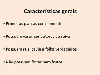 Características gerais
• Primeiras plantas com semente

• Possuem vasos condutores de seiva

• Possuem raiz, caule e folha verdadeiros

• Não possuem flores nem frutos
 