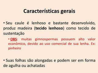 Características gerais
• Seu caule é lenhoso e bastante desenvolvido,
produz madeira (tecido lenhoso) como tecido de
sustentação
  • OBS: muitas gimnospermas possuem alto valor
  econômico, devido ao uso comercial de sua lenha. Ex:
  pinheiro


• Suas folhas são alongadas e podem ser em forma
de agulha ou achatadas
 