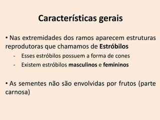 Características gerais
• Nas extremidades dos ramos aparecem estruturas
reprodutoras que chamamos de Estróbilos
  - Esses estróbilos possuem a forma de cones
  - Existem estróbilos masculinos e femininos


• As sementes não são envolvidas por frutos (parte
carnosa)
 