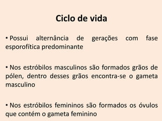 Ciclo de vida
• Possui alternância de     gerações   com   fase
esporofítica predominante

• Nos estróbilos masculinos são formados grãos de
pólen, dentro desses grãos encontra-se o gameta
masculino

• Nos estróbilos femininos são formados os óvulos
que contém o gameta feminino
 