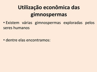 Utilização econômica das
              gimnospermas
• Existem várias gimnospermas exploradas pelos
seres humanos

• dentre elas encontramos:
 