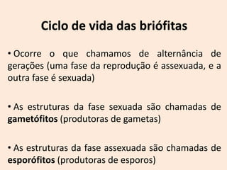 Ciclo de vida das briófitas
• Ocorre o que chamamos de alternância de
gerações (uma fase da reprodução é assexuada, e a
outra fase é sexuada)

• As estruturas da fase sexuada são chamadas de
gametófitos (produtoras de gametas)

• As estruturas da fase assexuada são chamadas de
esporófitos (produtoras de esporos)
 