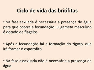 Ciclo de vida das briófitas
• Na fase sexuada é necessária a presença de água
para que ocorra a fecundação. O gameta masculino
é dotado de flagelos.

• Após a fecundação há a formação do zigoto, que
irá formar o esporófito

• Na fase assexuada não é necessária a presença de
água
 