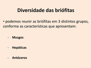 Diversidade das briófitas
• podemos reunir as briófitas em 3 distintos grupos,
conforme as características que apresentam:

  - Musgos

  - Hepáticas

  - Antóceros
 