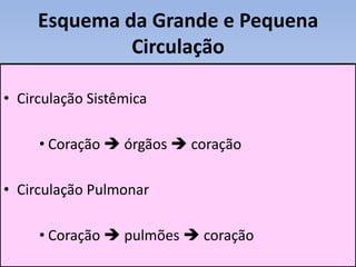 Esquema da Grande e Pequena
              Circulação

• Circulação Sistêmica

     • Coração  órgãos  coração

• Circulação Pulmonar

     • Coração  pulmões  coração
 