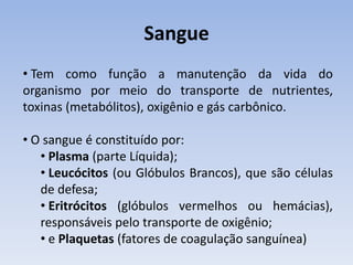 Sangue
• Tem como função a manutenção da vida do
organismo por meio do transporte de nutrientes,
toxinas (metabólitos), oxigênio e gás carbônico.

• O sangue é constituído por:
   • Plasma (parte Líquida);
   • Leucócitos (ou Glóbulos Brancos), que são células
   de defesa;
   • Eritrócitos (glóbulos vermelhos ou hemácias),
   responsáveis pelo transporte de oxigênio;
   • e Plaquetas (fatores de coagulação sanguínea)
 