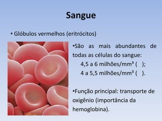 Sangue
• Glóbulos vermelhos (eritrócitos)
                        •São as mais abundantes de
                        todas as células do sangue:
                           4,5 a 6 milhões/mm³ ( );
                           4 a 5,5 milhões/mm³ ( ).

                        •Função principal: transporte de
                        oxigênio (importância da
                        hemoglobina).
 