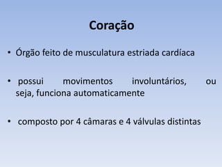 Coração
• Órgão feito de musculatura estriada cardíaca

• possui      movimentos     involuntários,       ou
  seja, funciona automaticamente

• composto por 4 câmaras e 4 válvulas distintas
 