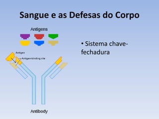 Sangue e as Defesas do Corpo

              • Sistema chave-
              fechadura
 