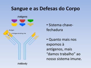 Sangue e as Defesas do Corpo

              • Sistema chave-
              fechadura

              • Quanto mais nos
              expomos à
              antígenos, mais
              “damos trabalho” ao
              nosso sistema imune.
 