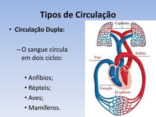 Tipos de Circulação
• Circulação Dupla:

  – O sangue circula
    em dois ciclos:

     • Anfíbios;
     • Répteis;
     • Aves;
     • Mamíferos.
 