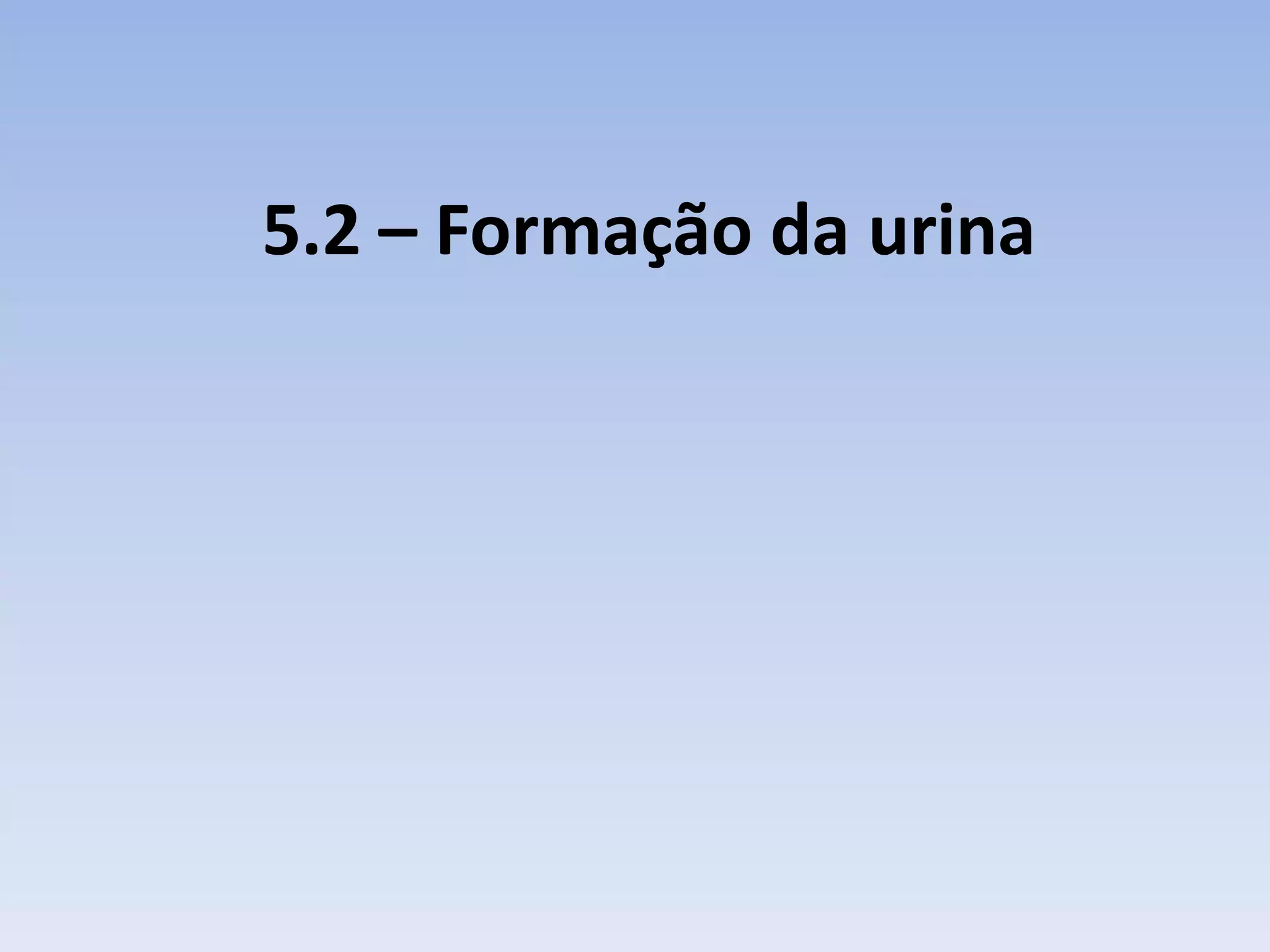 5.2 – Formação da urina
 