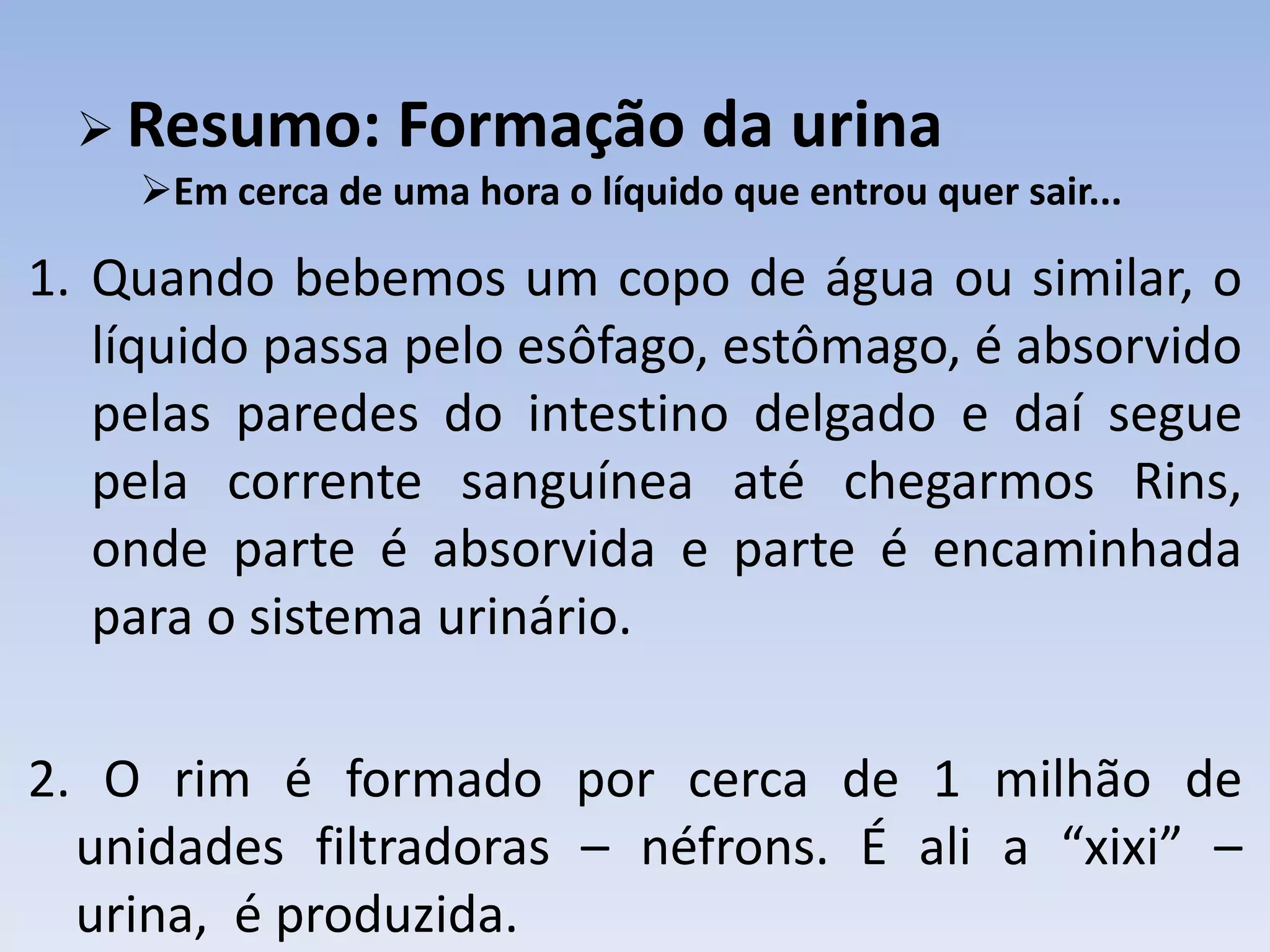  Resumo:       Formação da urina
    Em cerca de uma hora o líquido que entrou quer sair...

1. Quando bebemos um copo de água ou similar, o
   líquido passa pelo esôfago, estômago, é absorvido
   pelas paredes do intestino delgado e daí segue
   pela corrente sanguínea até chegarmos Rins,
   onde parte é absorvida e parte é encaminhada
   para o sistema urinário.

2. O rim é formado por cerca de 1 milhão de
  unidades filtradoras – néfrons. É ali a “xixi” –
  urina, é produzida.
 