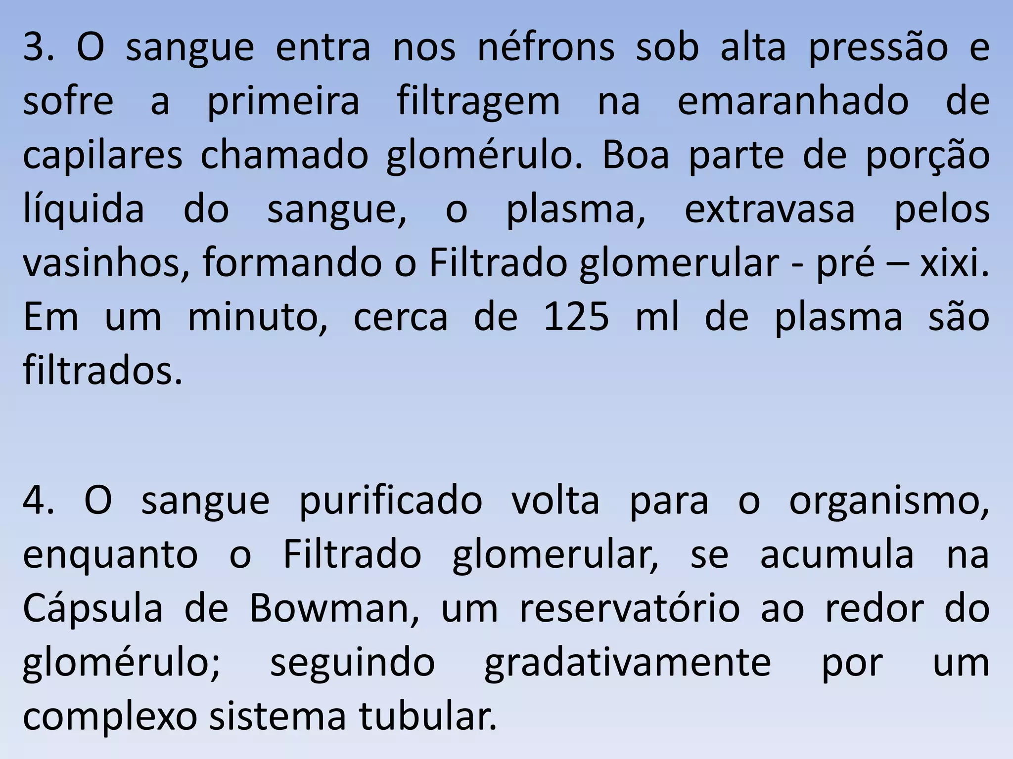 3. O sangue entra nos néfrons sob alta pressão e
sofre a primeira filtragem na emaranhado de
capilares chamado glomérulo. Boa parte de porção
líquida do sangue, o plasma, extravasa pelos
vasinhos, formando o Filtrado glomerular - pré – xixi.
Em um minuto, cerca de 125 ml de plasma são
filtrados.

4. O sangue purificado volta para o organismo,
enquanto o Filtrado glomerular, se acumula na
Cápsula de Bowman, um reservatório ao redor do
glomérulo; seguindo gradativamente por um
complexo sistema tubular.
 