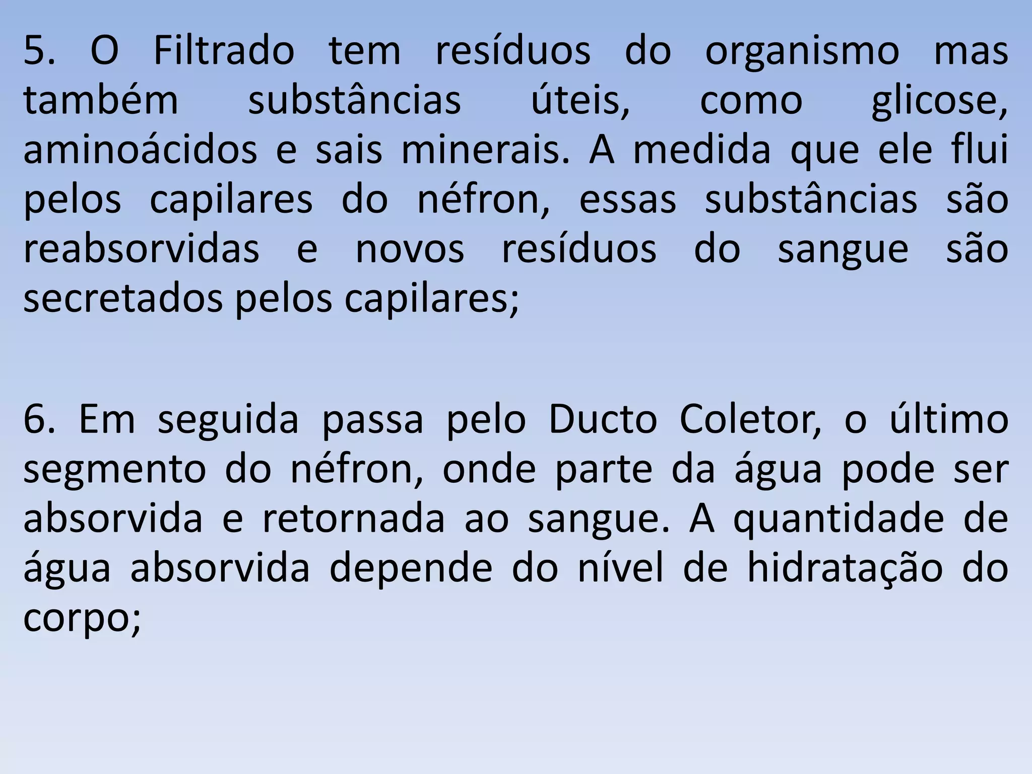 5. O Filtrado tem resíduos do organismo mas
também substâncias úteis, como glicose,
aminoácidos e sais minerais. A medida que ele flui
pelos capilares do néfron, essas substâncias são
reabsorvidas e novos resíduos do sangue são
secretados pelos capilares;

6. Em seguida passa pelo Ducto Coletor, o último
segmento do néfron, onde parte da água pode ser
absorvida e retornada ao sangue. A quantidade de
água absorvida depende do nível de hidratação do
corpo;
 